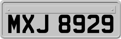 MXJ8929