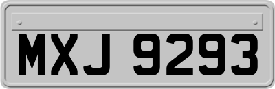 MXJ9293