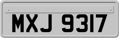 MXJ9317