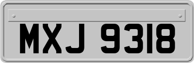 MXJ9318