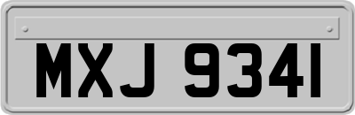 MXJ9341