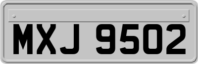 MXJ9502