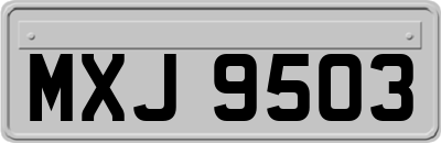 MXJ9503
