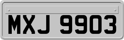 MXJ9903