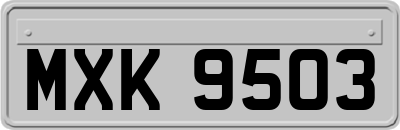 MXK9503