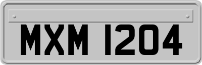 MXM1204