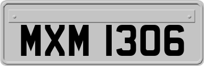 MXM1306