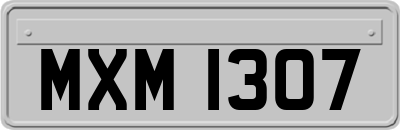 MXM1307