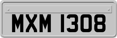 MXM1308