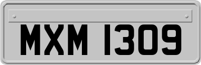 MXM1309