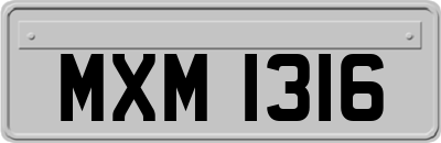 MXM1316