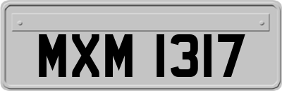 MXM1317