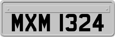 MXM1324