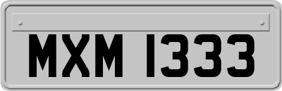 MXM1333