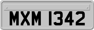 MXM1342