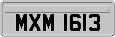 MXM1613