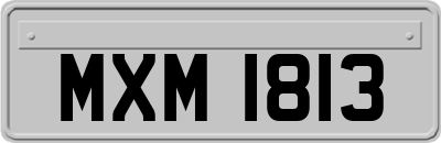 MXM1813