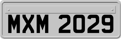 MXM2029