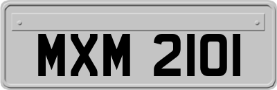 MXM2101