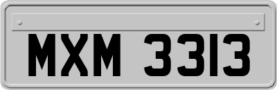 MXM3313