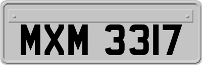 MXM3317