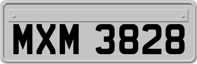 MXM3828