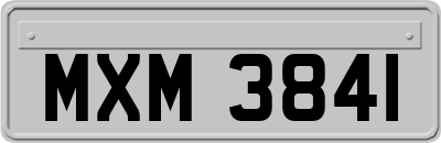 MXM3841