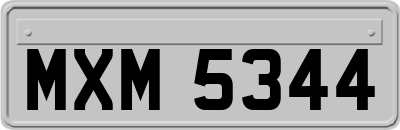 MXM5344