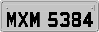 MXM5384