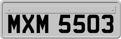 MXM5503