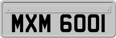 MXM6001