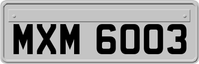 MXM6003