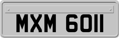 MXM6011