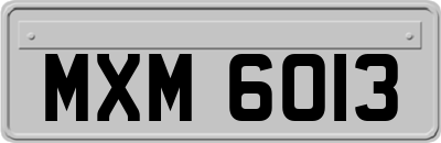 MXM6013