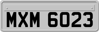 MXM6023