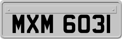 MXM6031