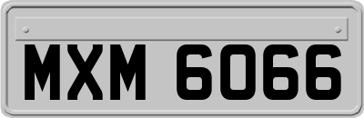 MXM6066