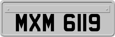 MXM6119