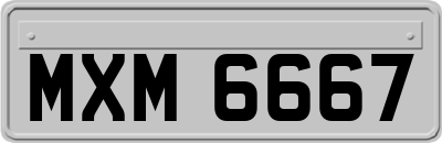 MXM6667