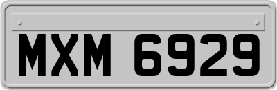 MXM6929