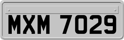 MXM7029