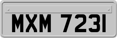 MXM7231