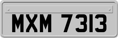 MXM7313