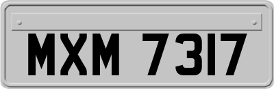 MXM7317