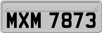 MXM7873