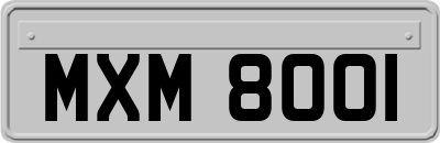 MXM8001