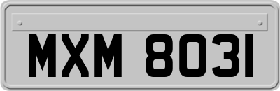 MXM8031