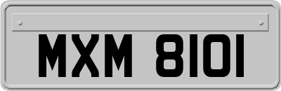 MXM8101