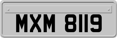 MXM8119