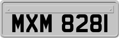 MXM8281